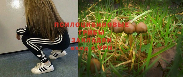 наркотики Нея