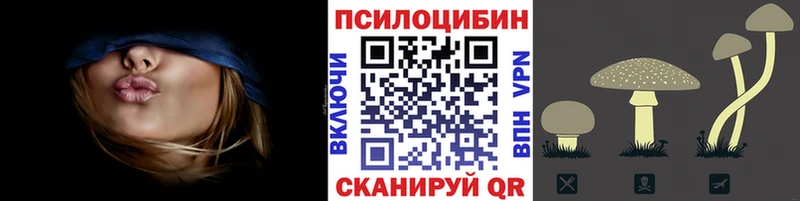 Галлюциногенные грибы GOLDEN TEACHER Чишмы
